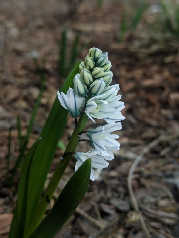 ��� ��� ����� � ������������ ����������