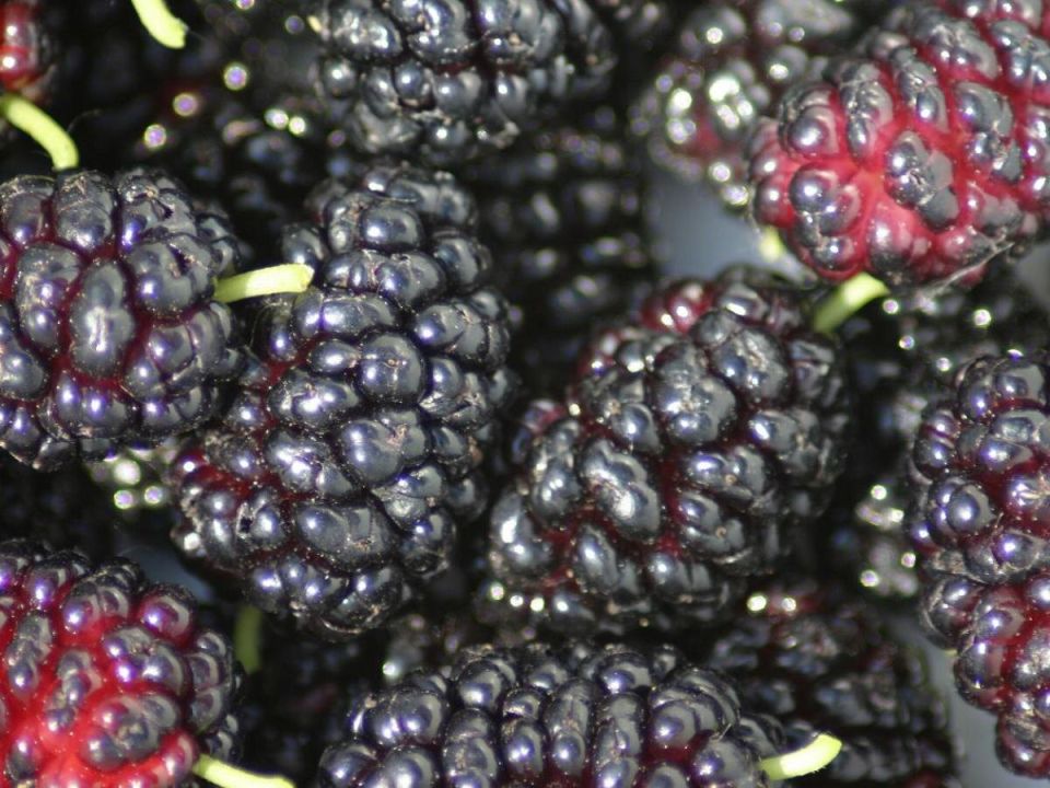 ��� ������ � ���: 5 ��������, �� ������� ����� ��������� ��������