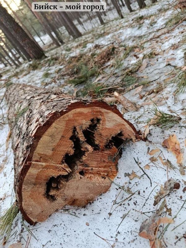 � �� ���������� ��������� ���������� �������