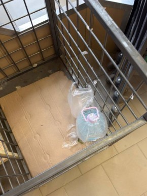 ����� � ����� � ��������� ������������ �������