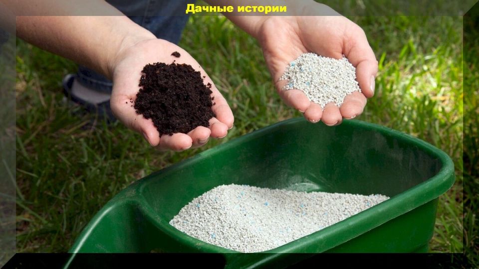 ���������� ��������� �������� �����: ������ ��� �������� �����������