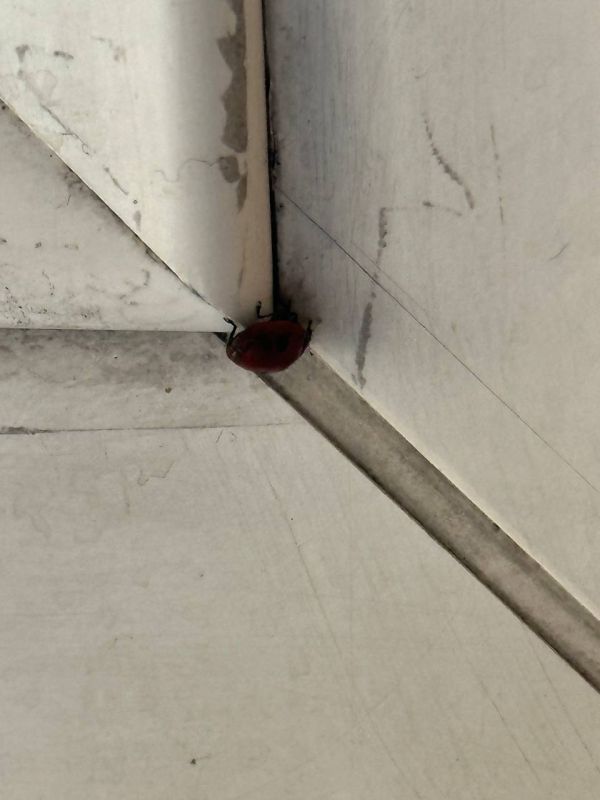 ����� ������� ���� ����������� � ������ ����-�� �� ����� ��������������� �����