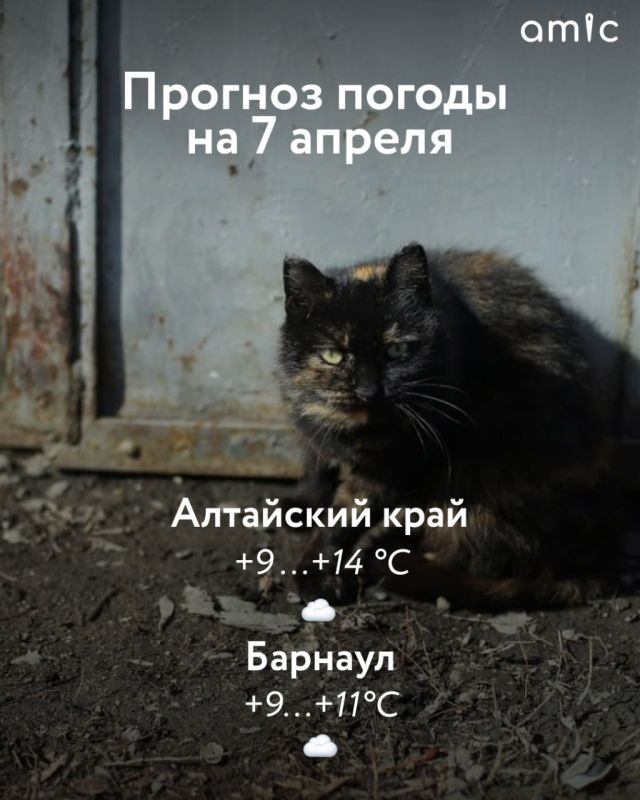 7 ������ � ��������� ���� ����������� ������� ���������� �� +9...+14 ��������, �� ��� ������� ��������� �� +19