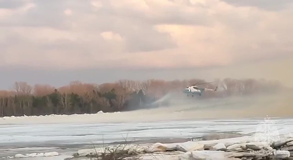 �� ����������� ���� ����������� ������������� � 8 ������� ���������� ����