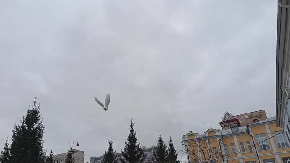 � �������� ������������ � ������������ ������� ��������� �������