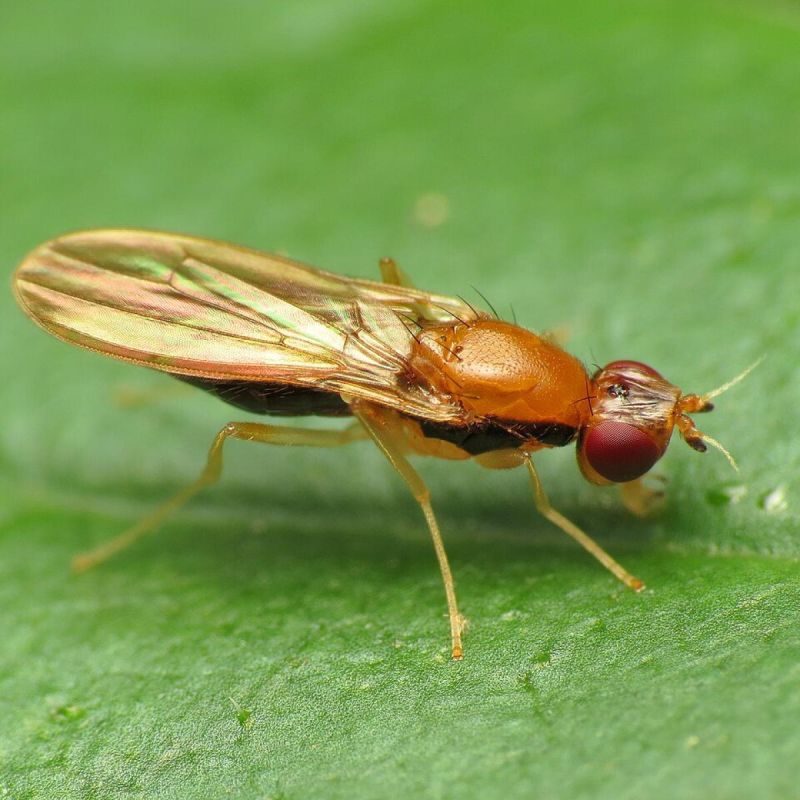 ����������� ������ � ������: ��� ��������� �������� ����� ����� ����� ���������