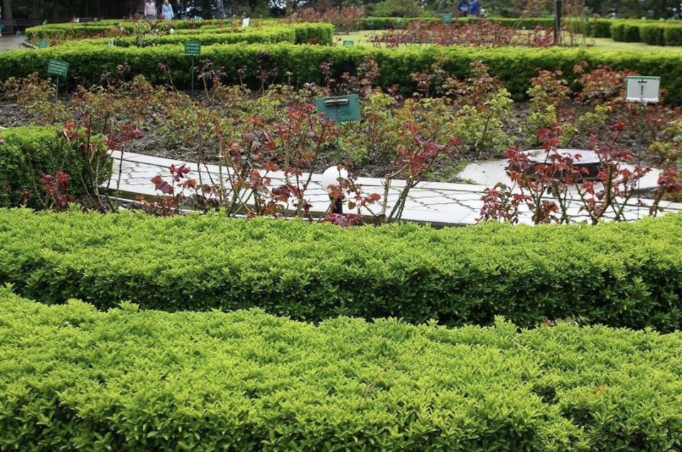 �������� ������: �������������� ���������� ��� ������ ����