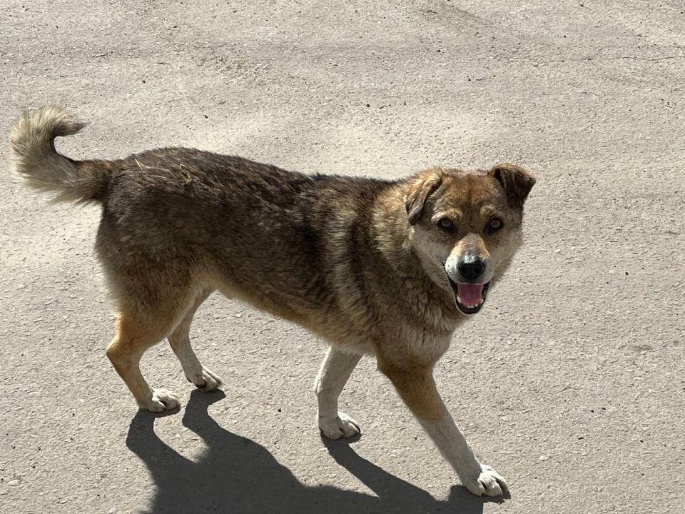 � ����������� ����: ��������� ������ � ���������