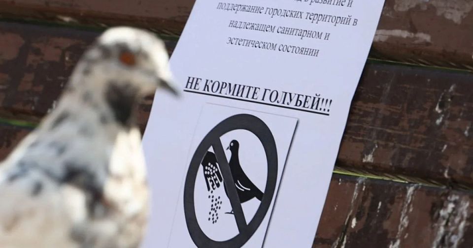 ����� �� 5000 ������ �� ��������� �������: ��� ������ � 2026 ����