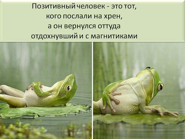 ��������: ������ ��� �������� ����� ����� ����� ���������