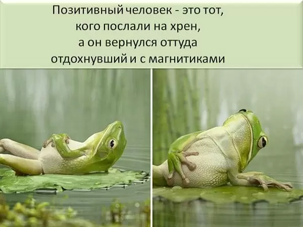 Пофигизм: Почему это качество может стать вашим союзником