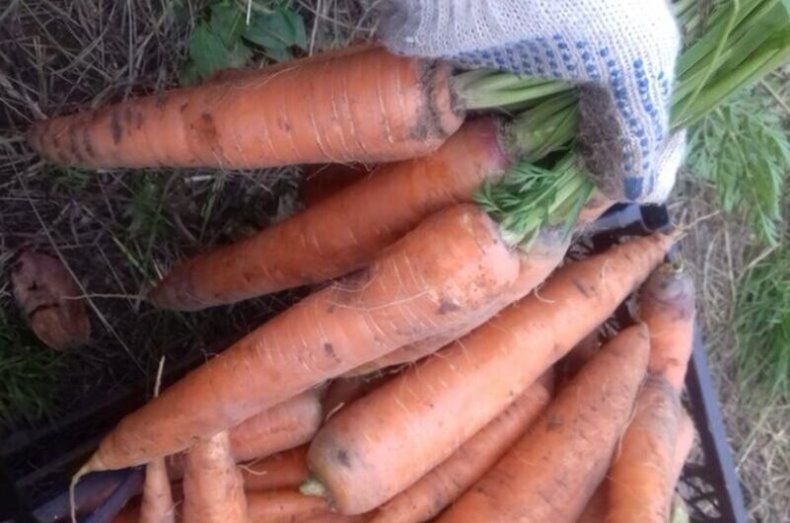 ��� ������� �������� ������� ��� ����: ������� ������� ������