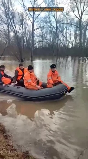 ��������-��������� �� 2-�� ������ �� ��� ������ �� ���������� ���� ������� �������� ������� ������ ������������ � ������� ������, ������������ �� �����������