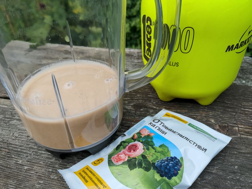 ��� �������� ���� ������ �� ��������: ����������� ������ ������ � �����������