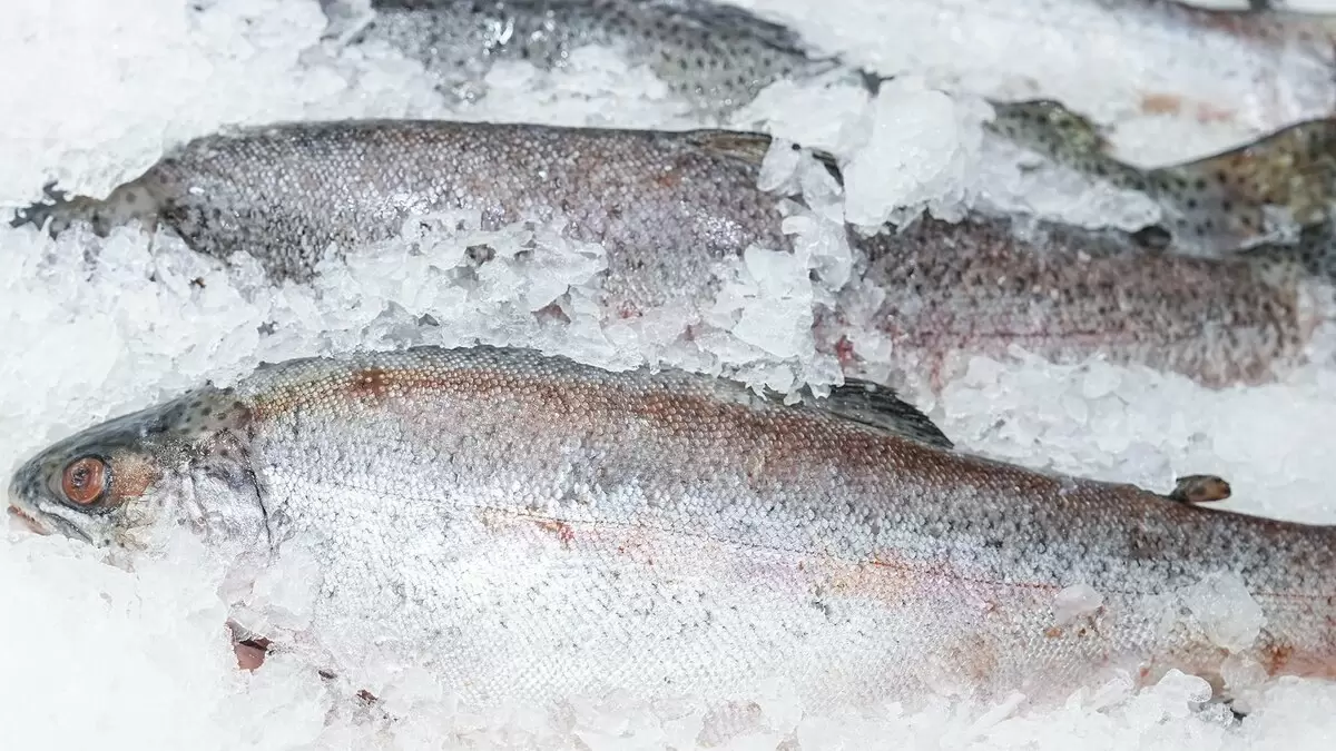 Пикша побила рекорды цен в 2026 году