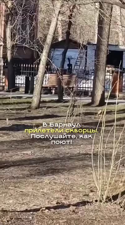 ��� � ������� ���������!. ����, ������� ������� ���� ���� � �������� �����������, �������� � ����� "����������"