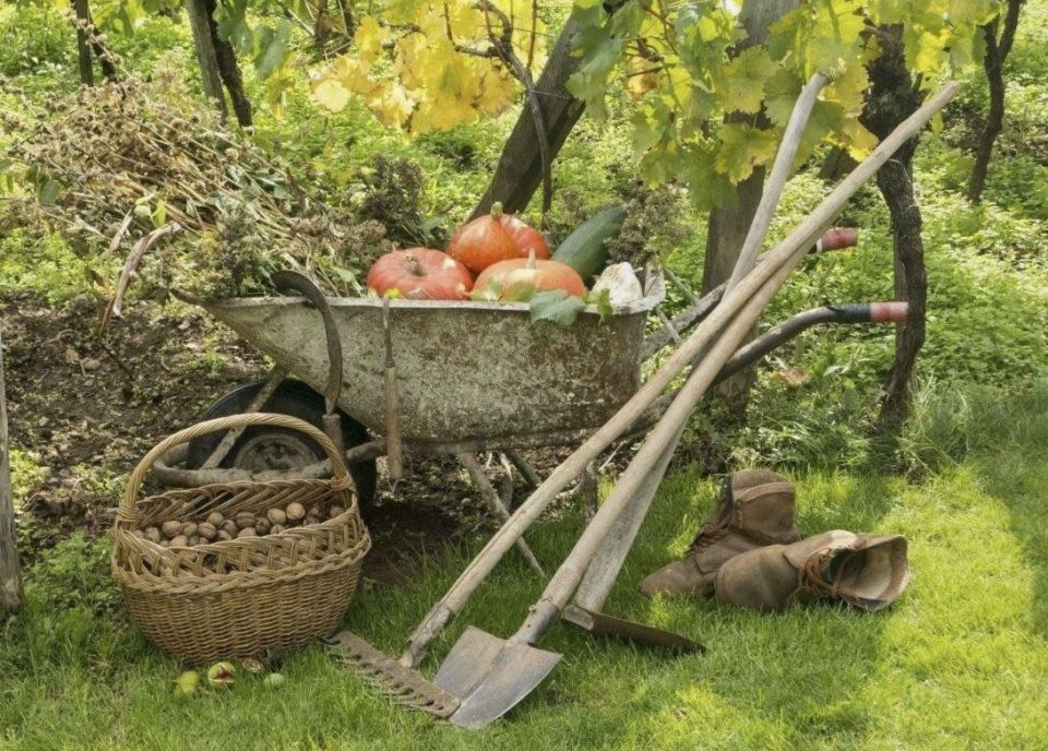 ��� ����������� ��� � ����: ���������� ������ ������ �������