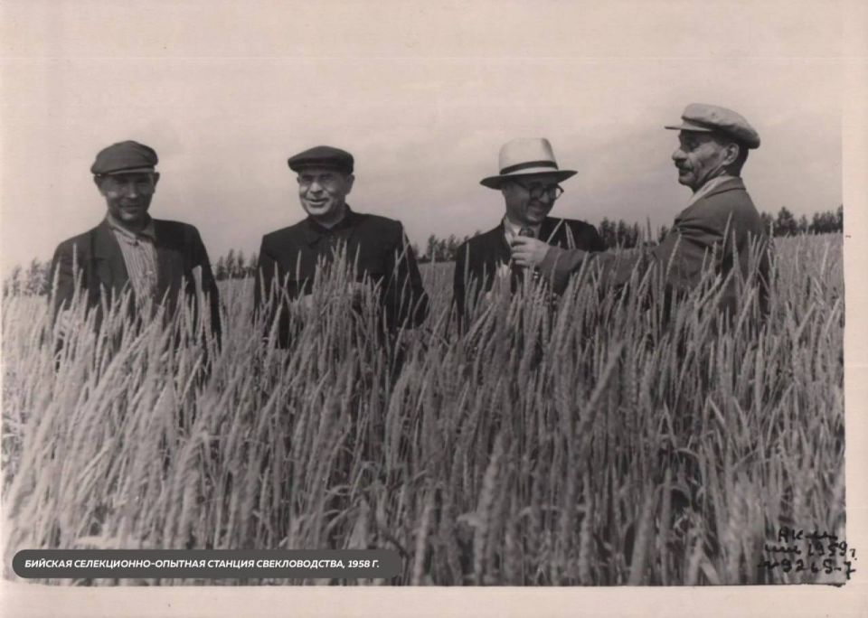 ������� ������ � ��� �� ����, � ��������� �������� �����