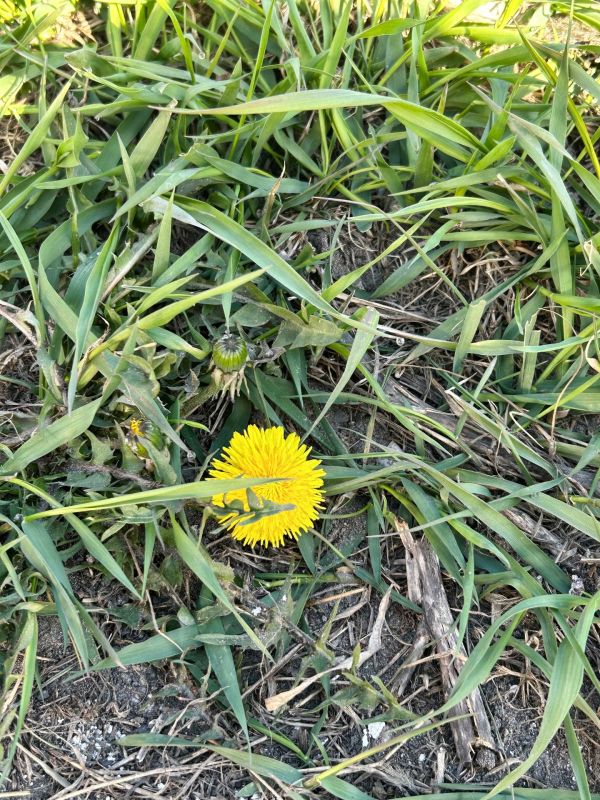 ������ ���������� �������� � ��������