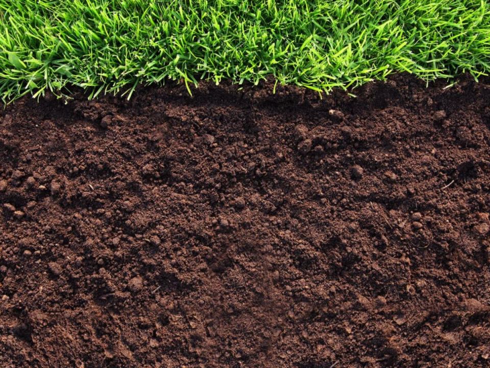 ������ ��� ������ ������� ���������