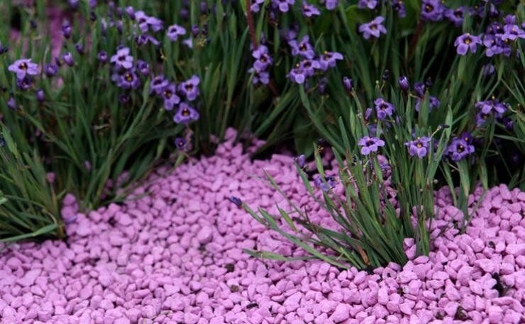 ��� �������� ������ ������� � ������� ������������ �������