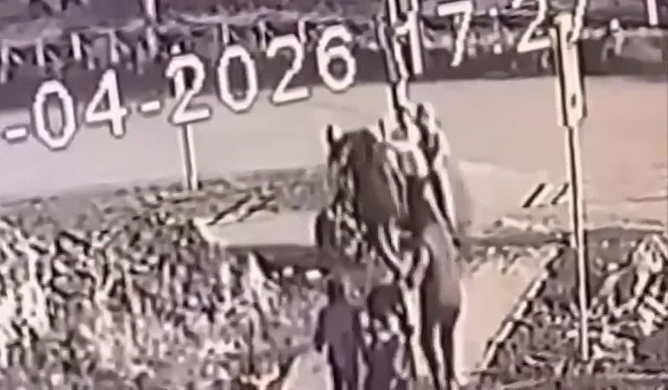 � ������������ ��������� �� �������� ����� ������� � �������� ������