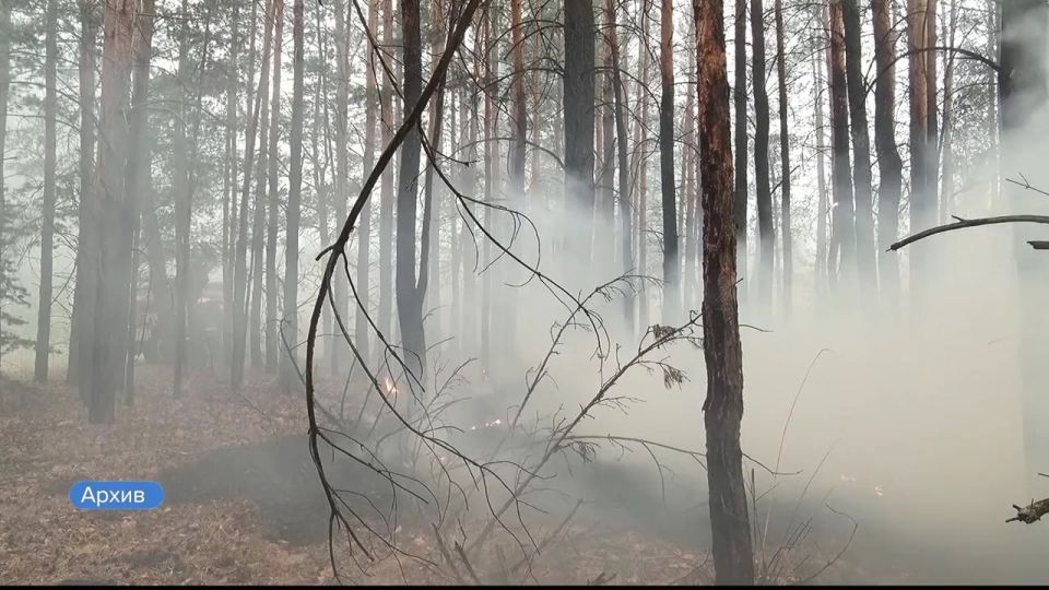 � ����� ������� ���� � 9 ������ �������� ������������� �����