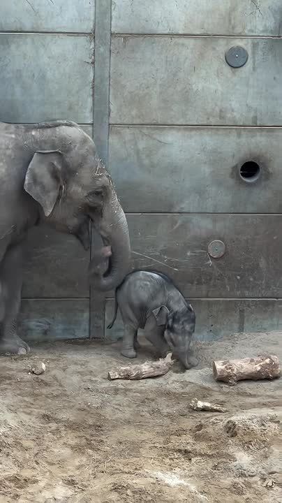 ������ ����, ��������� ����!