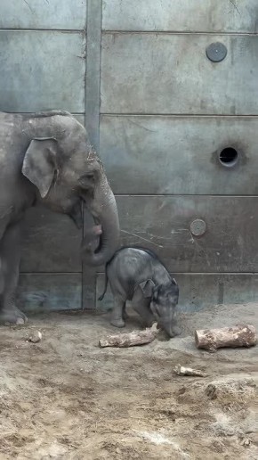 ������ ����, ��������� ����!