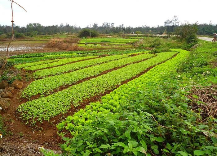 ��� ��������� ������������� � ���������: ������ �� ������� ������� ��� �������� ������