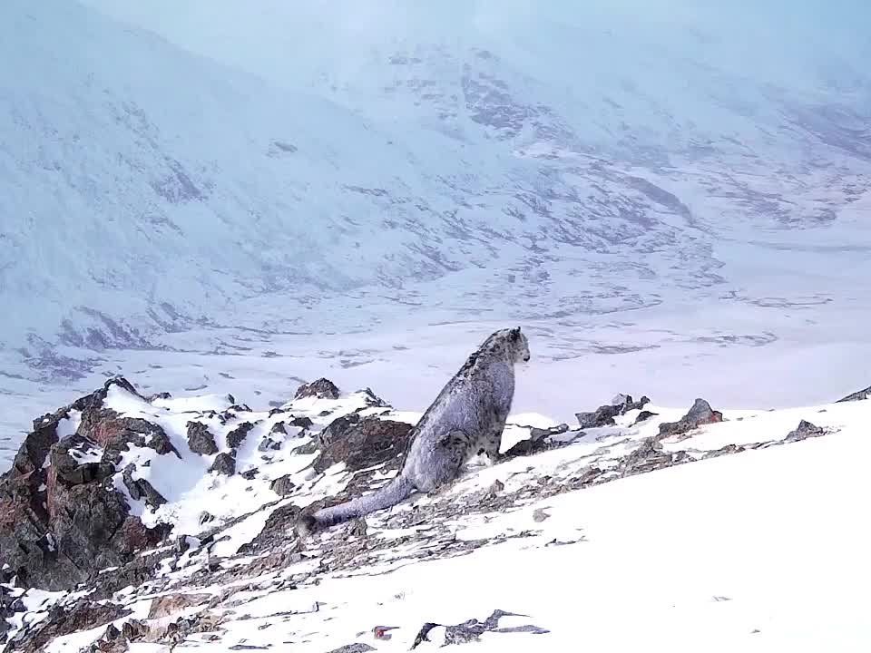 � ������������ �������� �� ����� ����� ���������� �� ����� �����