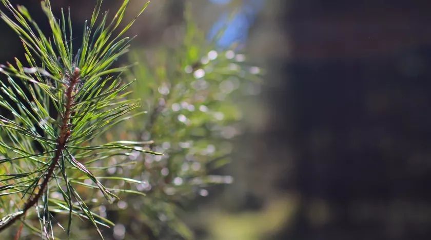 ������� �������� ����������� �� �������� ���������