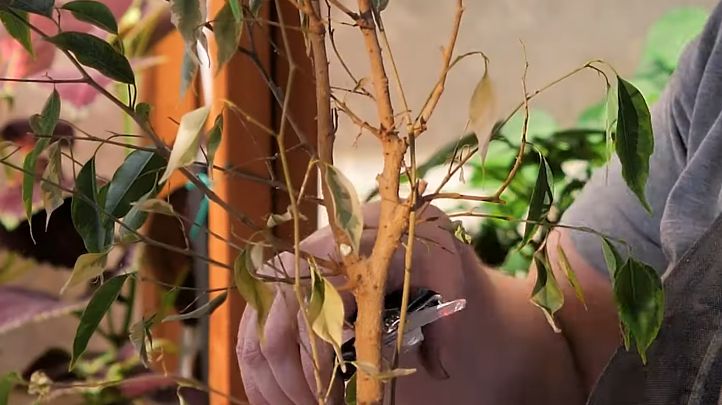 ������� ��������� ������: ��� ������ ������� ��������� ��������