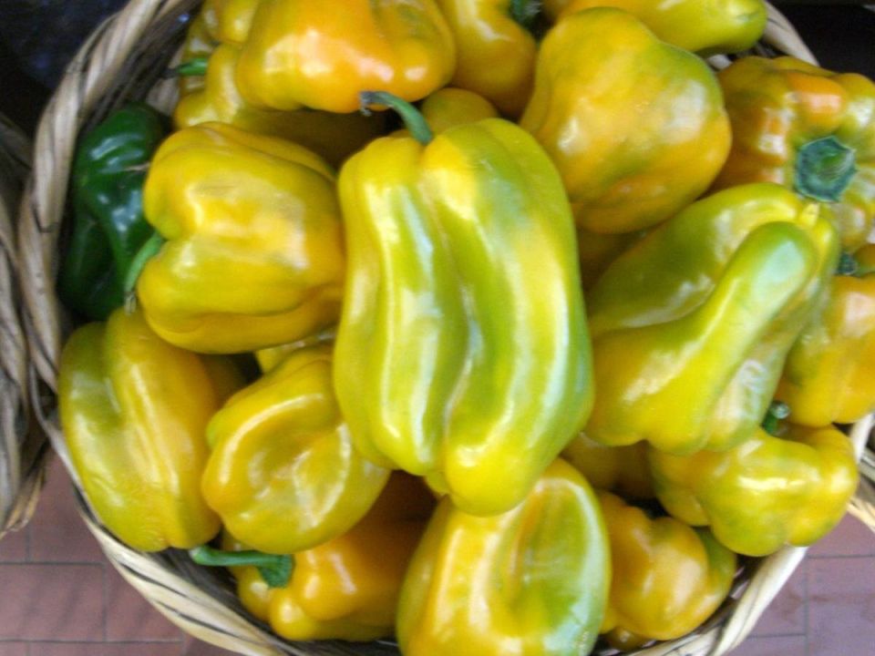 ����������� ������ ������ �� ���������� ����� �� ���� ������������ � ����