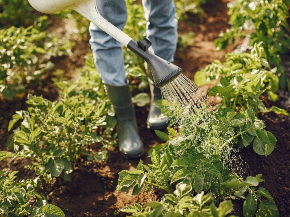 ������� ��������� ������: ��� �������� ���������������� ������ �����������