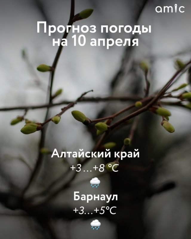 ������ ����! � ������ � ��������� ���� 10 ������