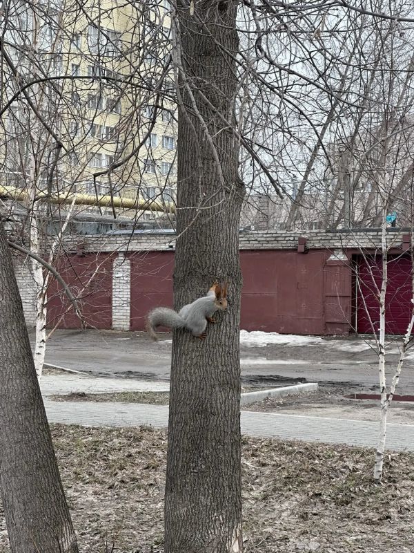 ������ ����, ��������� ����!