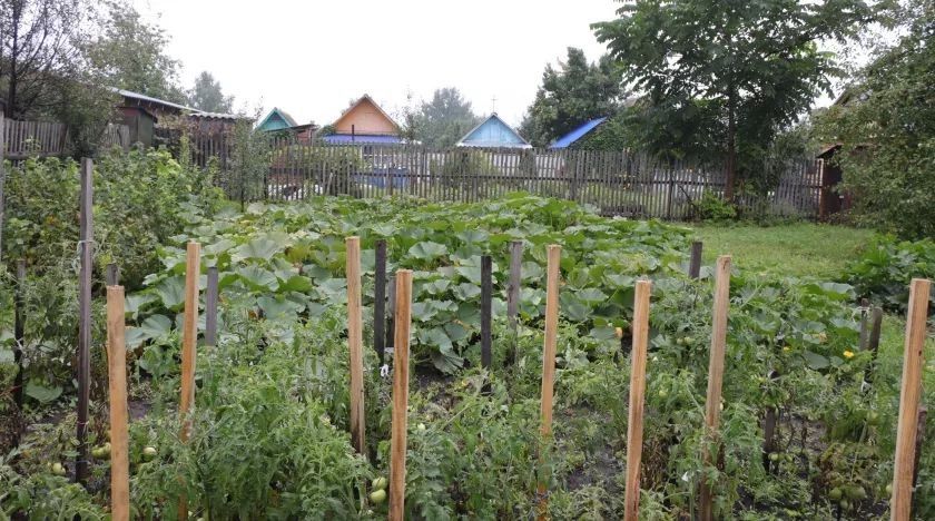 ���������� ������ ��������, �� ������� ���������� ������� � ������� �����, ������ ���������������� ���������������