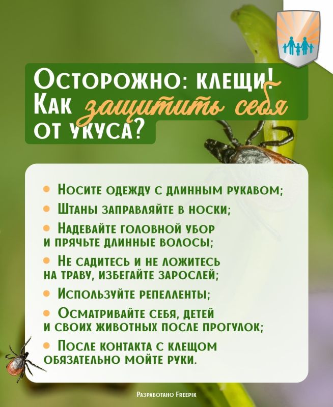 ����� ����������: ��� ����� �����