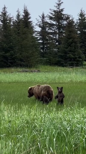 ������ ����, ��������� ����!