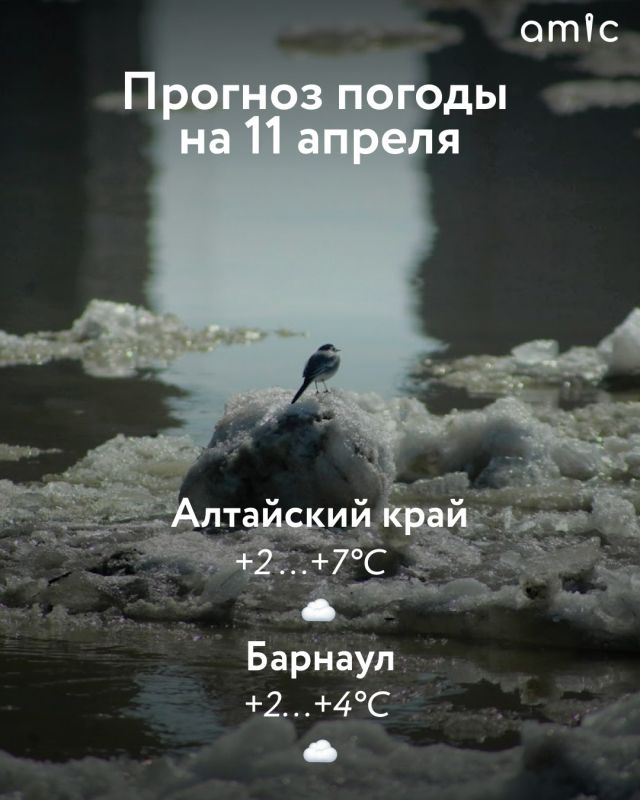 ������ ����! � ������ � ��������� ���� 11 ������