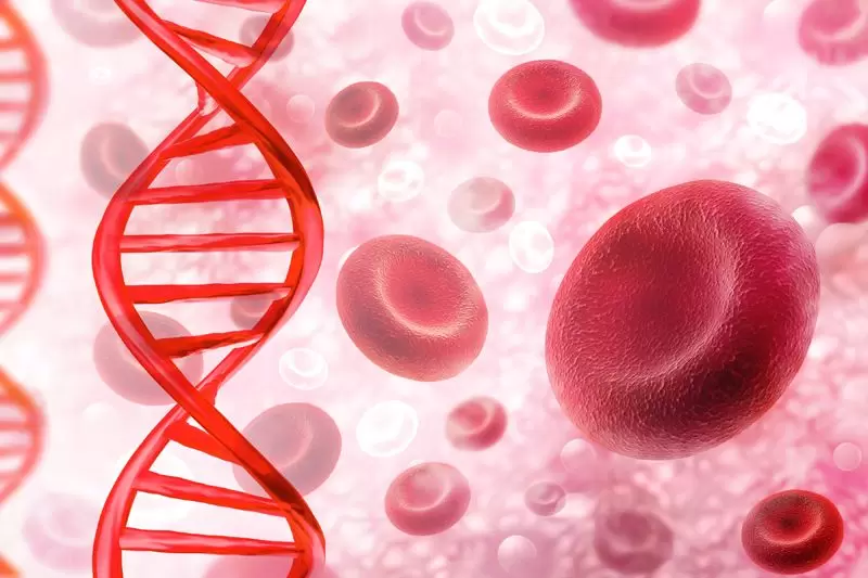 Как недорогие продукты могут действовать на уровень гемоглобина: простые советы