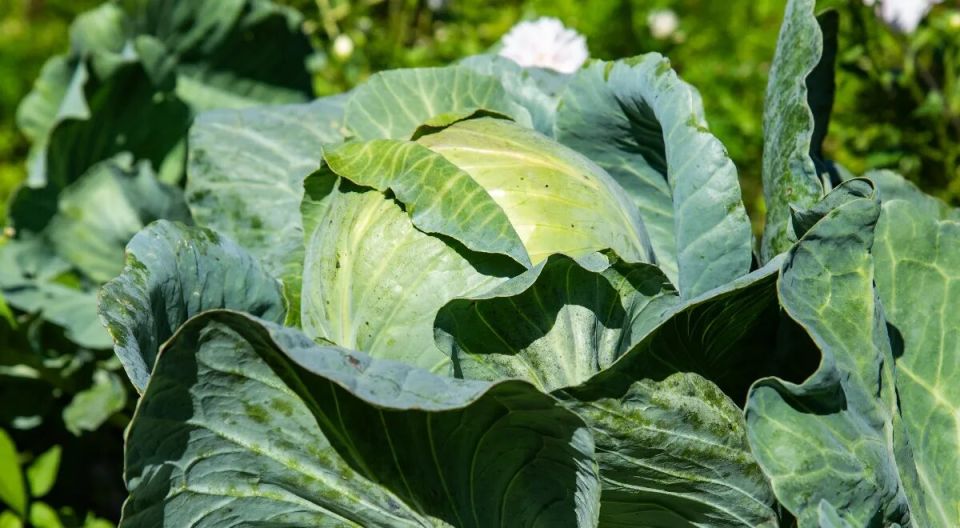 ���������� ������� � ������: ��� ���� ���� ������� ��������