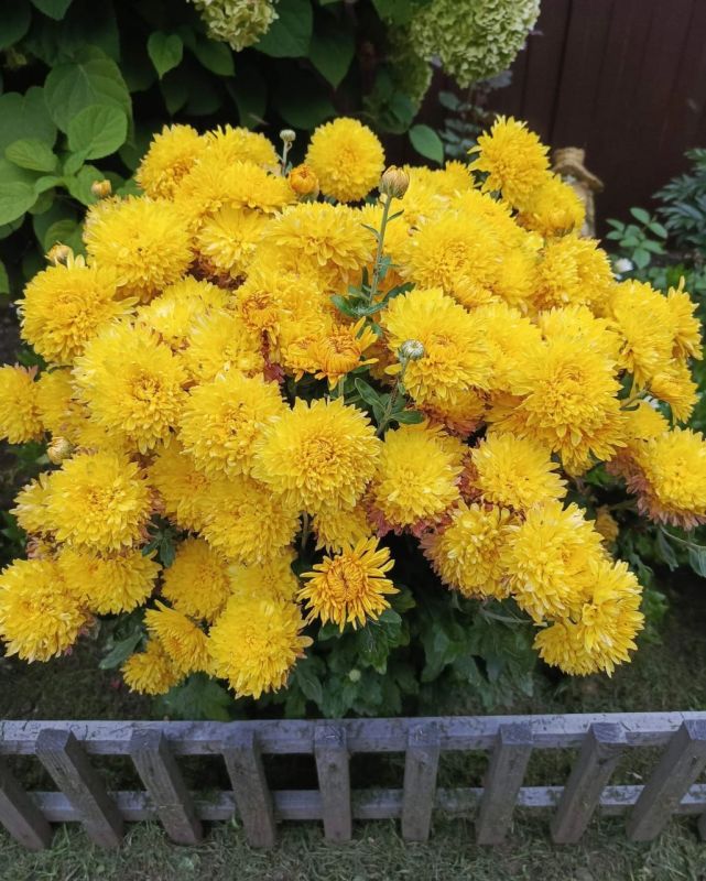 ������ �������� ������! ���� ������ �� ������, ���������� ���������� ���� �� ����� �����������