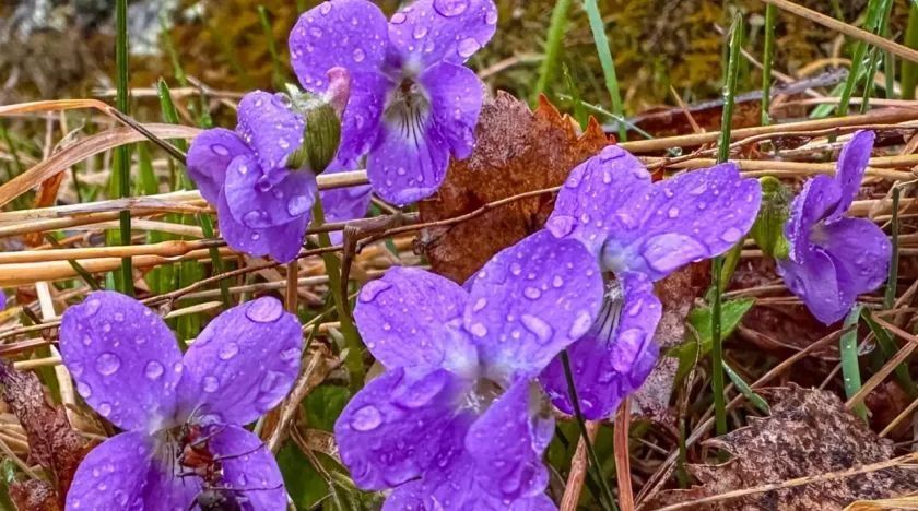 �� ���������� ��������� ��������� ����� ������� ��������� ������