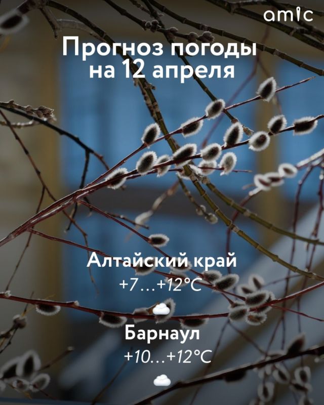 ������ ����! � ������ � ��������� ���� 12 ������