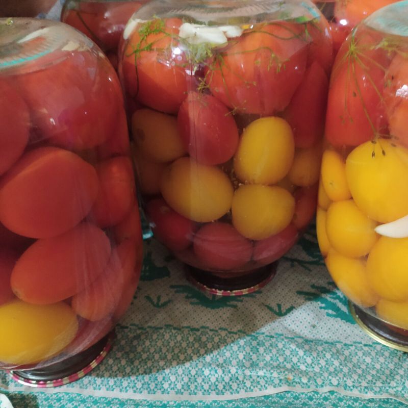 ��� ������ ���������������� ��������: ������� ������-������� �����������