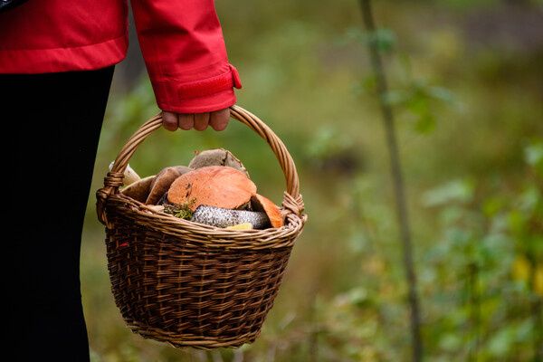 ����� � ����������� �������� ���� ������: ��� ������ ������