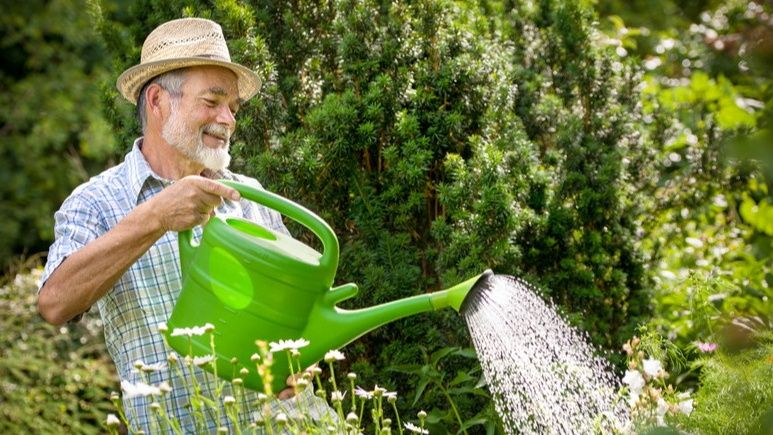 ��� ���� ���������� ��������: 5 ������� ������ ��� ��������� ������ 60