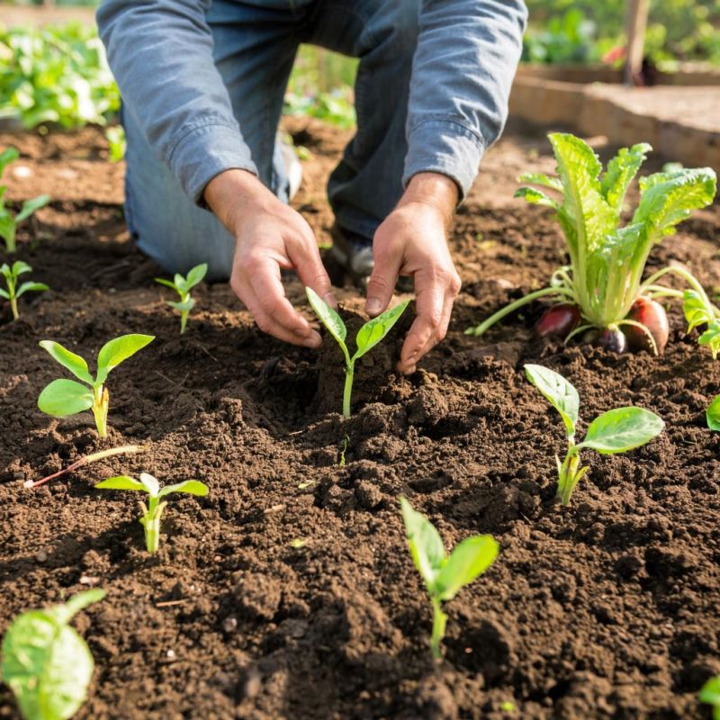 ��� ������� ������ �� ��������� �����: ������� ��������� ������